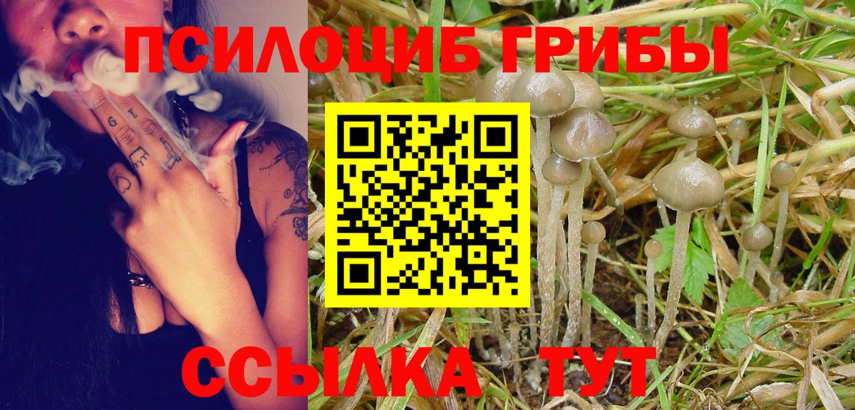 Галлюциногенные грибы Cubensis  Псилоцибиновые грибы Cubensis  Джанкой  Вход с VPN 